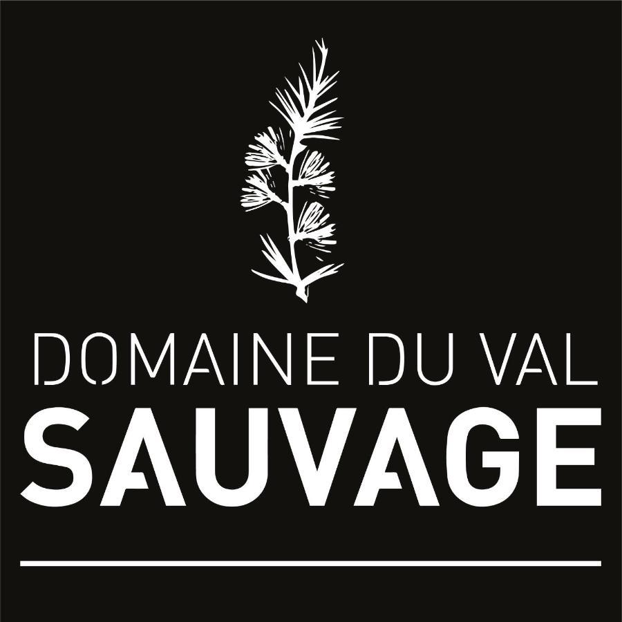 Domaine Du Val Sauvage Bed & Breakfast Langeais Ngoại thất bức ảnh